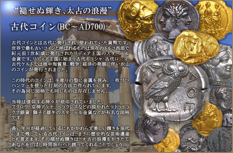 【販売オンライン】 アンティークコイン コイン 金貨 銀貨 [] Roman Empire Probus AD 276-282 NGC XF