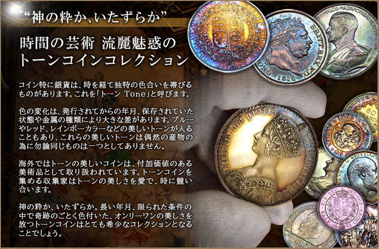 銀貨　トーンドシルバーコイン　Gump作ブラック皿