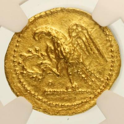 古代ギリシャ(エジプト) BC54 トラキアもしくはスキタイ　スターテル 金貨 NGC MS 4/5, 4/5