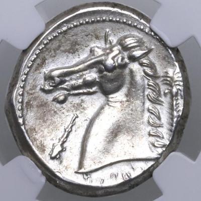 古代ギリシャ シチリア　Siculo-Punic テトラドラクマ 銀貨 ヘラクレス 300-289BC NGC ChXF 5/5,4/5 Fine style　レアレリーフ